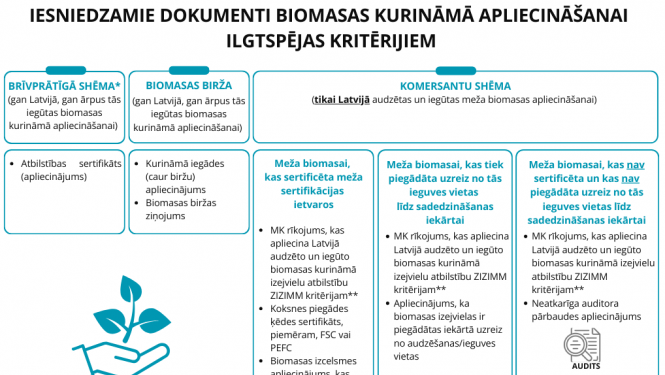 INFOGRAFIKA_BIOMASA