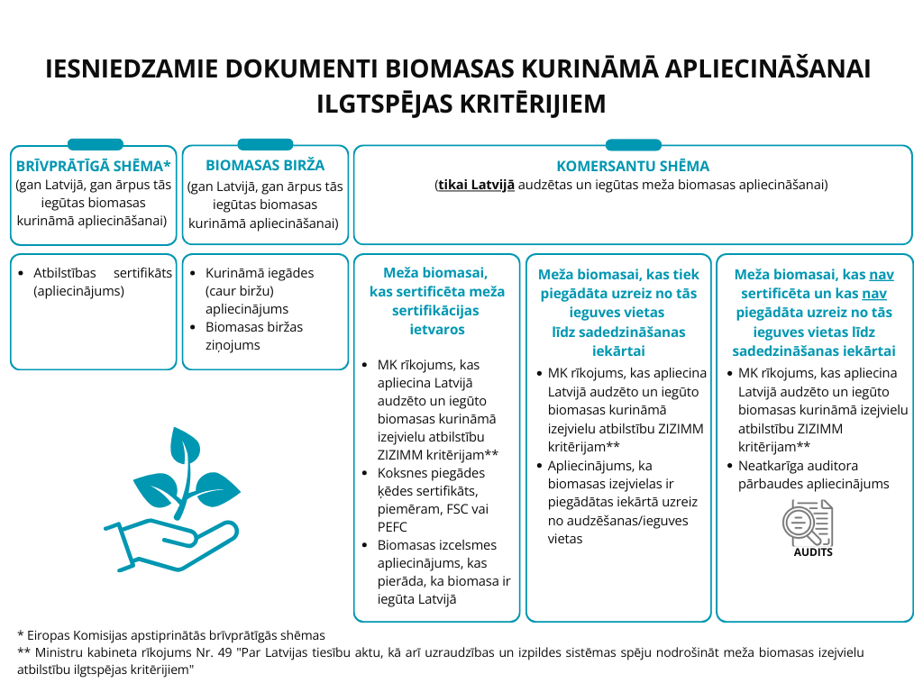 INFOGRAFIKA_BIOMASA