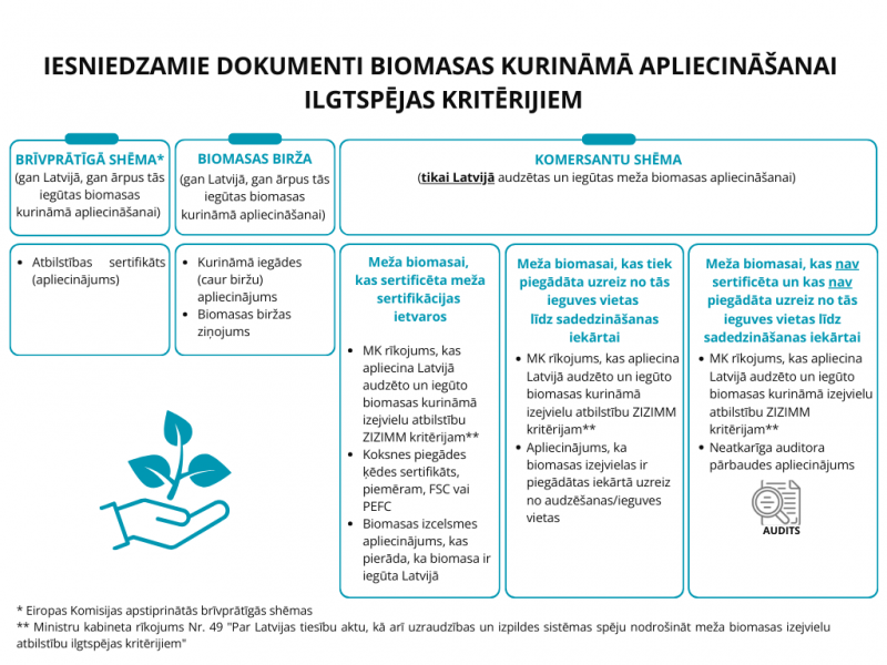 INFOGRAFIKA_BIOMASA