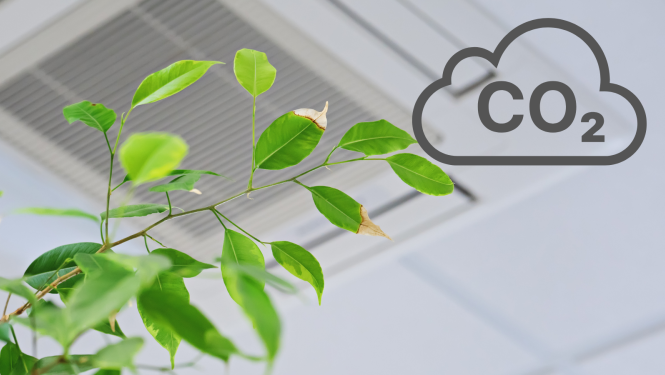 Telpas griesti un zaļš augs ar CO2 uzrakstu blakus