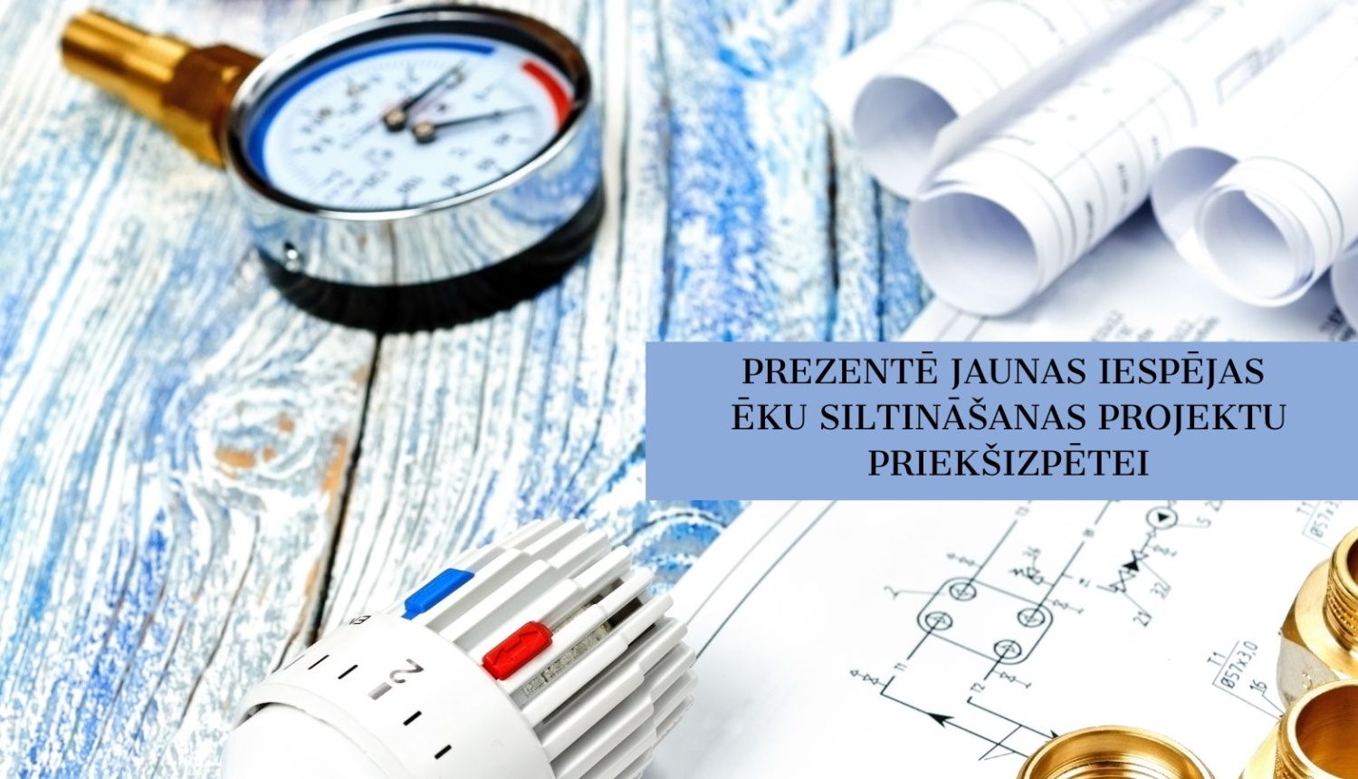 Projekts ar lupu un termoregulatoru