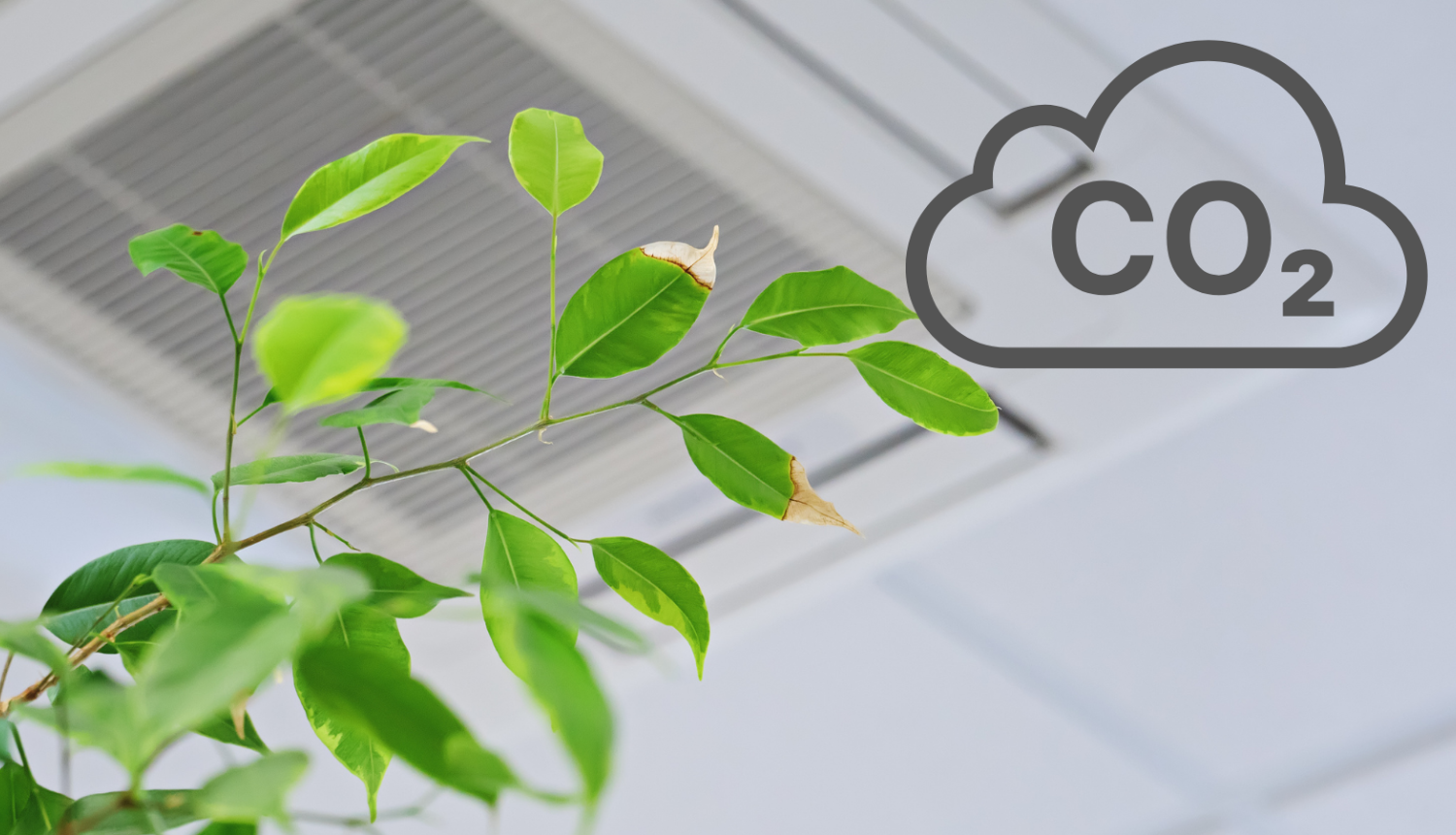 Telpas griesti un zaļš augs ar CO2 uzrakstu blakus